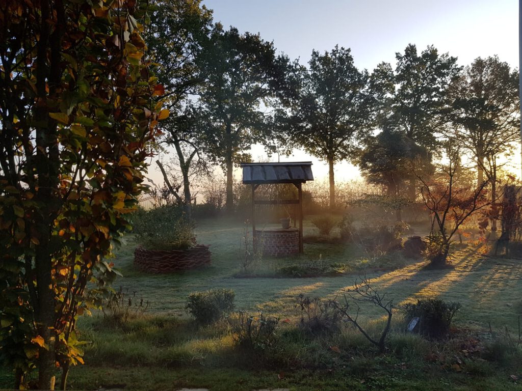 Hof van Brederode, Groninge, Ardent Desire Holistisch Bewsutzijn, Mantel van Liefde en Genegenheid, coach, boerderij,